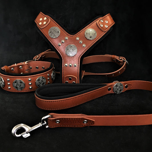 Complete handmade leather dog gear set for large breeds