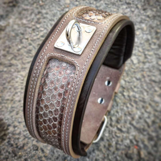 Handmade padded leather dog collar with python design