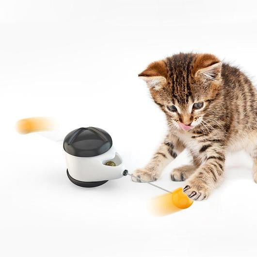 cat-wobble-toy-playtime-woofyco