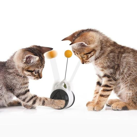 interactive cat toy with catnip
