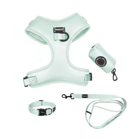 Elegant New York Luxe pet walking set in blue, pink, and yellow for cats and dogs – includes silk harness, collar, leash, bow tie, and waste bag holder – WoofyCo