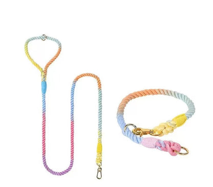 Handwoven multicolor cotton rope dog collar and leash set in blue, pink, and yellow with solid brass hardware