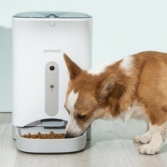 WiFi-enabled cat and dog feeder with dog