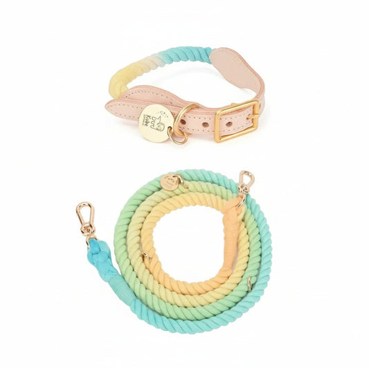 WoofyCo rainbow rope dog leash and collar set