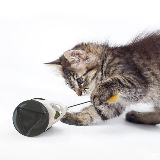 Crazy Cat Toy – Self-Entertaining Bouncing Ball with Catnip